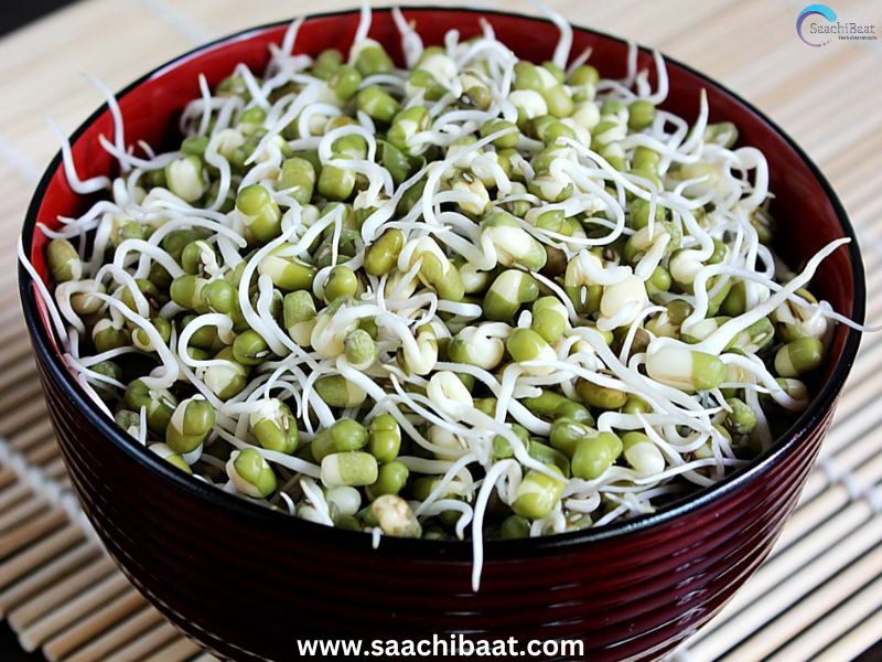 Mung Bean Sprouts