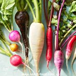 Interesting Facts – 17 March 2026