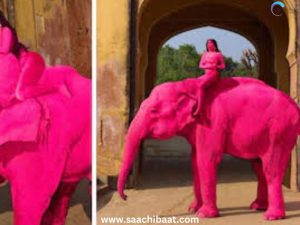 pink elephant