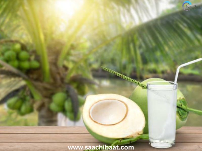 Coconut water 2