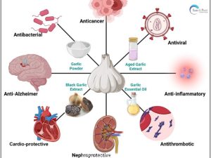 Garlic benifit 2
