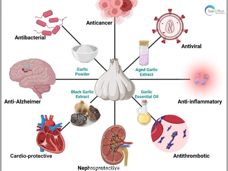 Garlic benifit 2