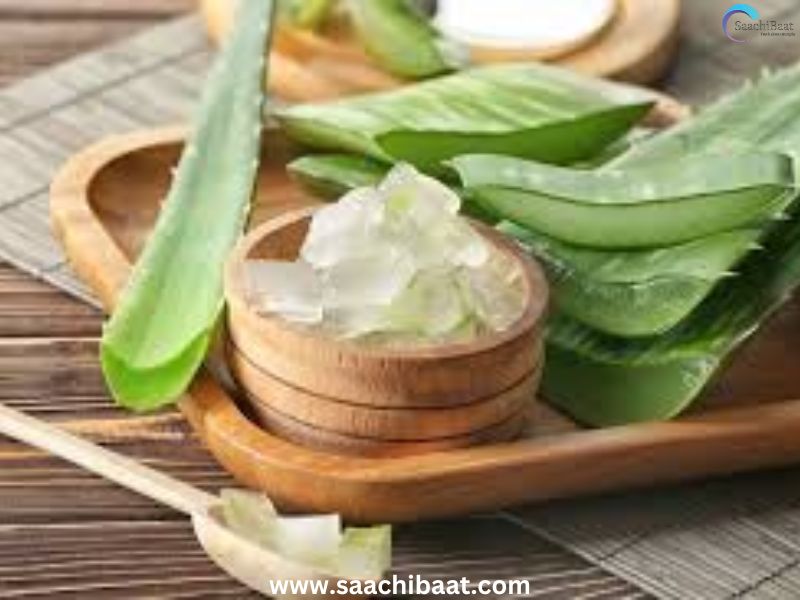Aloevera gel 1