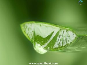 Aloevera gel