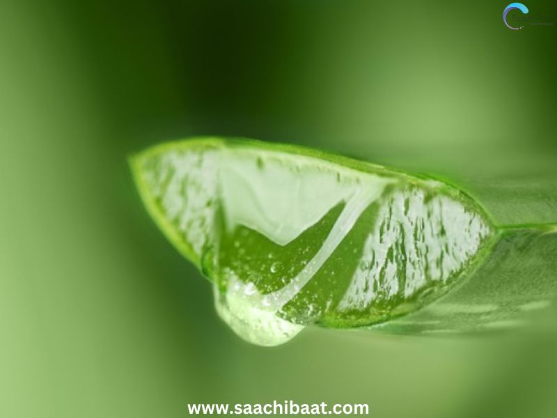 Aloevera gel