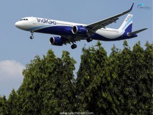 IndiGo 6