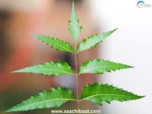 Interesting Facts тАУ 25 May 2026 7 NEEM 12