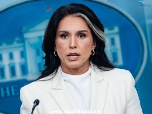 Tulsi Gabbard