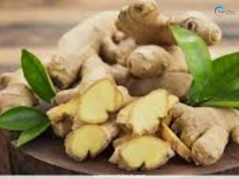 Ginger
