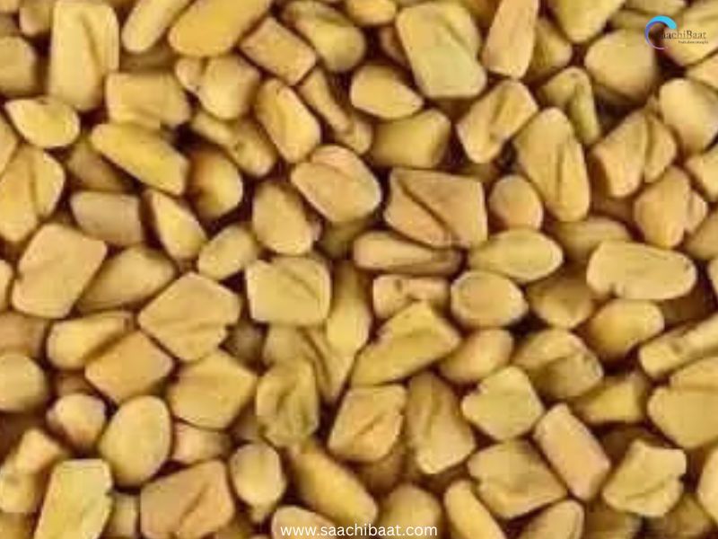 Methi