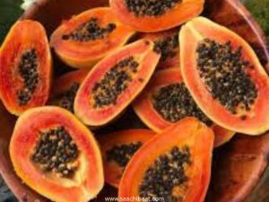 Interesting Facts - 10 June 2026 5 Papayas