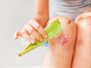 Interesting Facts - 15 June 2026 5 aloe vera gel