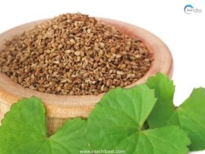 Interesting Facts- 13 July 2026 2 BENEFITS OF AJWAIN