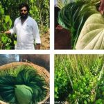 Interesting Facts – 12 July 2026