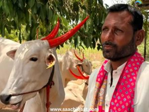 Maharashtra News