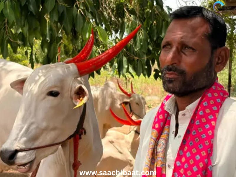 Maharashtra News
