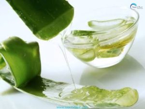 aloevera benifit