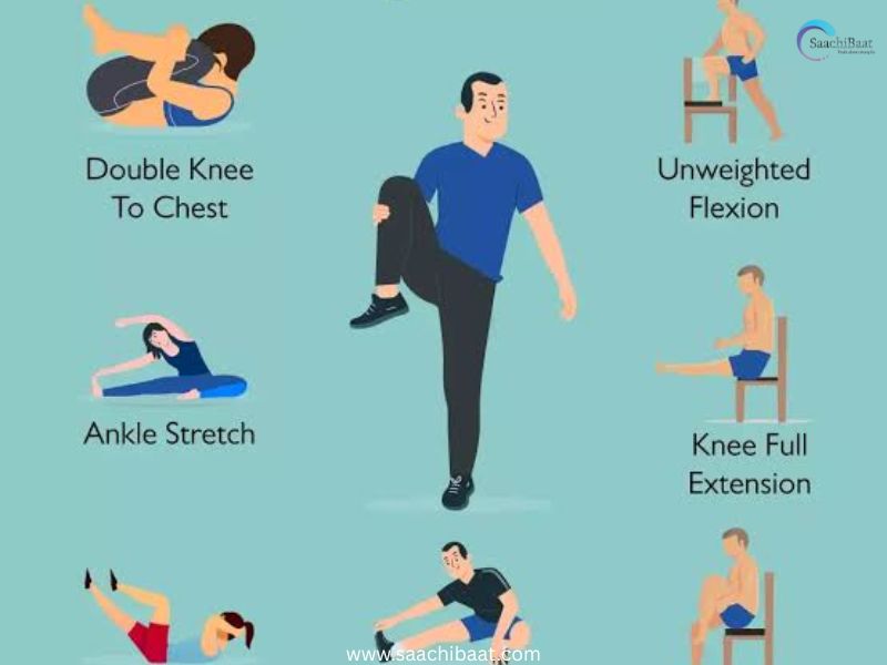knee joint