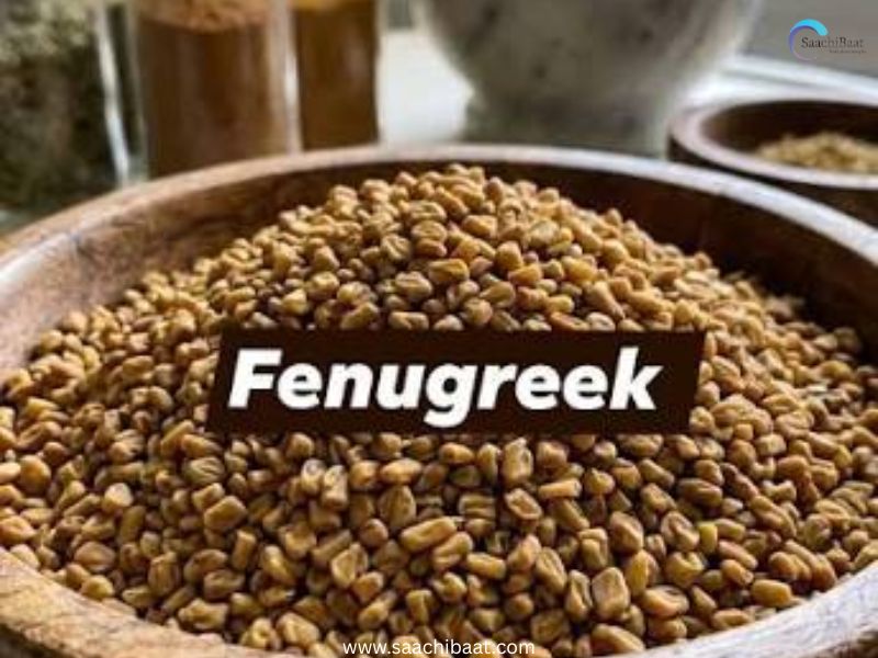 Fenugreek