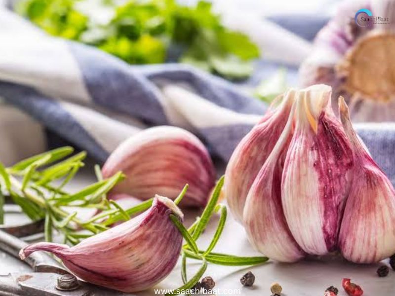 GARLIC