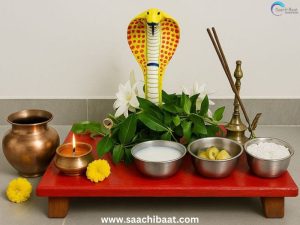 NAG PUNCHAMI