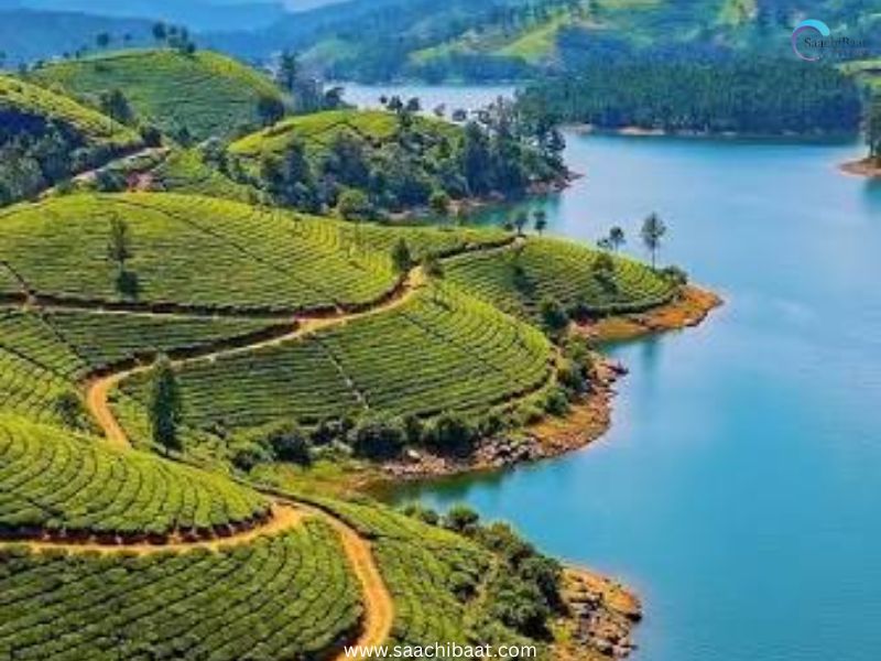 Ooty