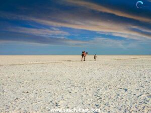 RANN OF KUTCH
