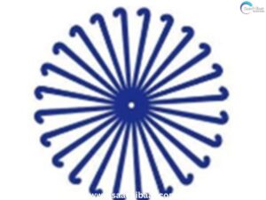Indian WomenтАЩs Team eyes first win as South Africa await in Pool D clash of FIH Hockey World Cup 2026 3 Sports News 61
