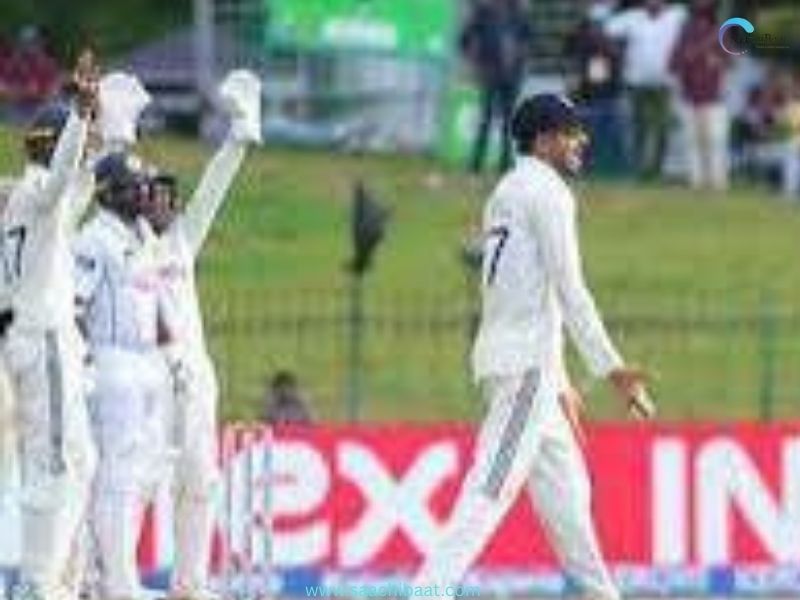 cricket2