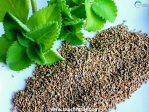 AJWAIN 1