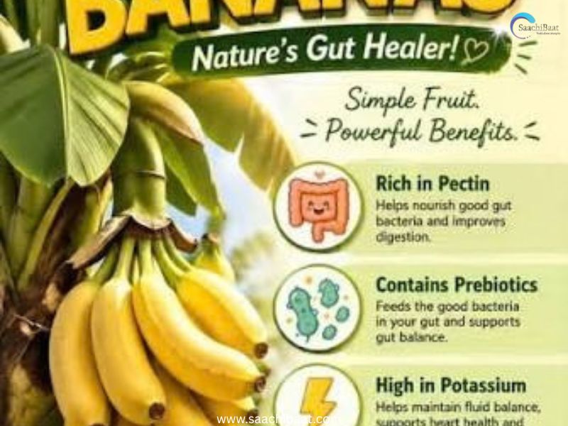 healthy food4