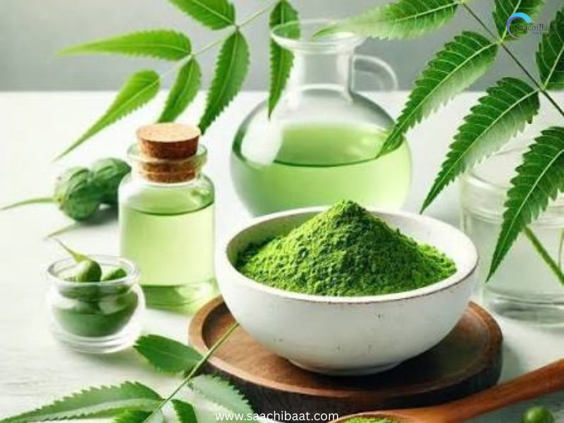 neem leaves