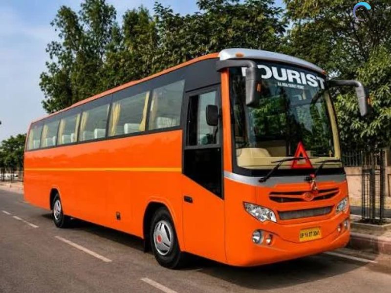 Bus
