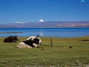 Lake Manasarovar