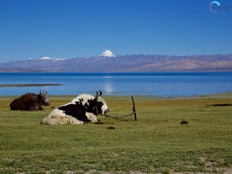Lake Manasarovar