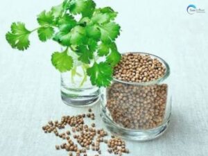 coriander benifit