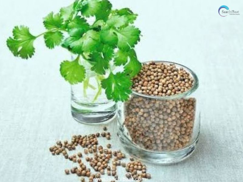 coriander benifit