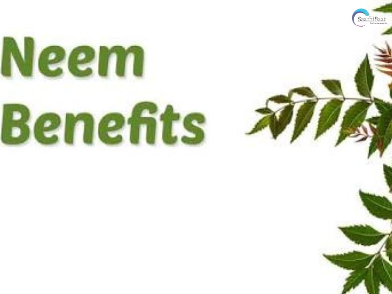 neem benifit