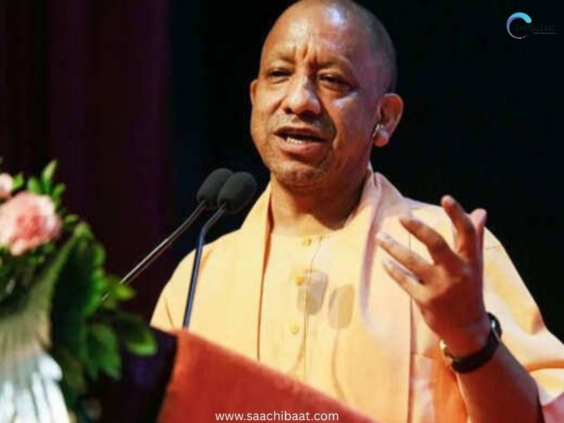 yogi 2